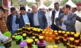/album/galerie-de-photos-produits-2/coup-denvoi-de-ledition-2016-du-festival-de-miel-dimouzzer-ida-outanane1-jpg/
